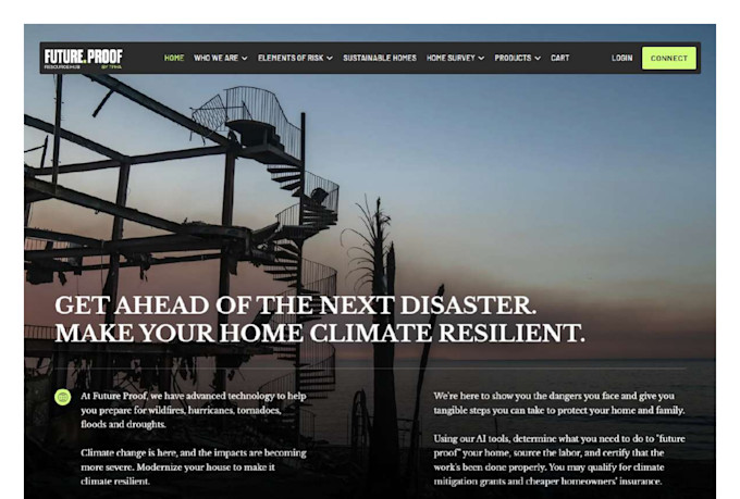 develop wordpress website professionally